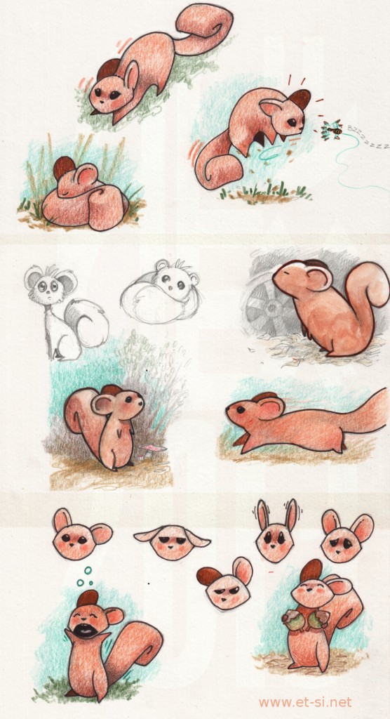 ENG : Research around an animal that will be the main character of a children book project.