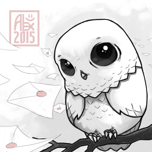 owl_010