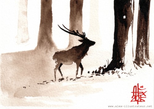 Cerf / deer : Aquarelle et brou de noix sur papier 250gr / Watercolor and walnut stain on paper 250gr 10.5 x 15 cm / 4.13x 5.9 in