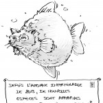 Humeur du jour :  Le chat-poisson…