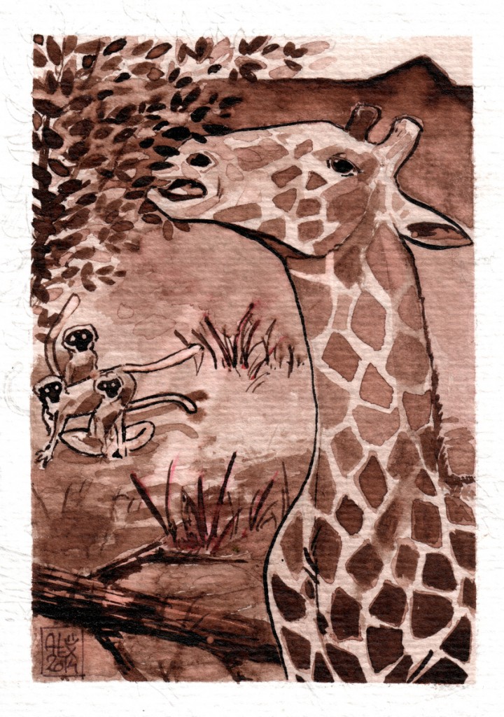 Girafe / Giraffe : Aquarelle et brou de noix sur papier 250gr / Watercolor and walnut stain on paper 250gr 10.5 x 15 cm / 4.13x 5.9 in