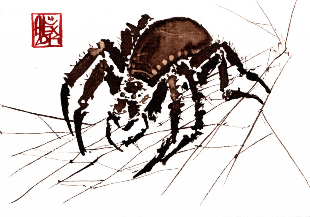 araignée / spider : Aquarelle et brou de noix sur papier 250gr / Watercolor and walnut stain on paper 250gr 10.5 x 15 cm / 4.13x 5.9 in
