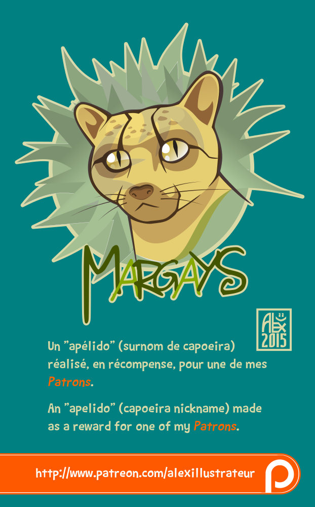 Illustration Patreon : Apélido « Margay »