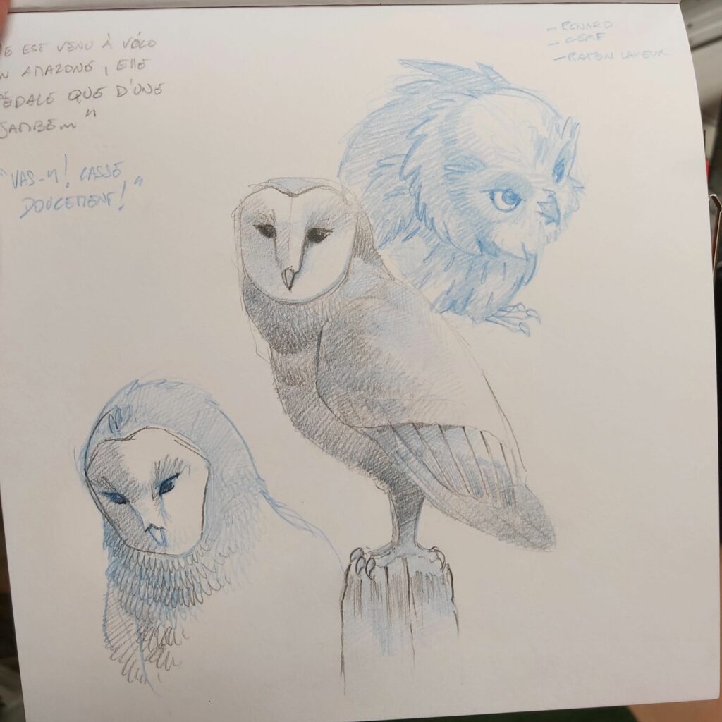 Croquis de chouettes aux expressions variées, réalisés au crayon bleu, capturant leur essence mystique.